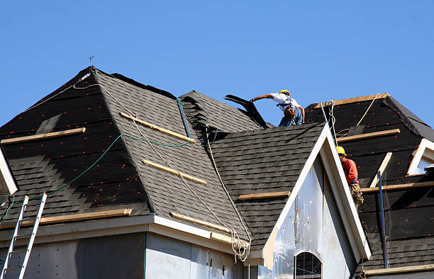 Roof Gutter Cleaning in Cayuga Heights, NY