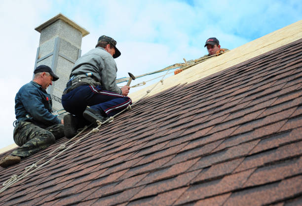 Best Roof Leak Repair  in Cayuga Heights, NY